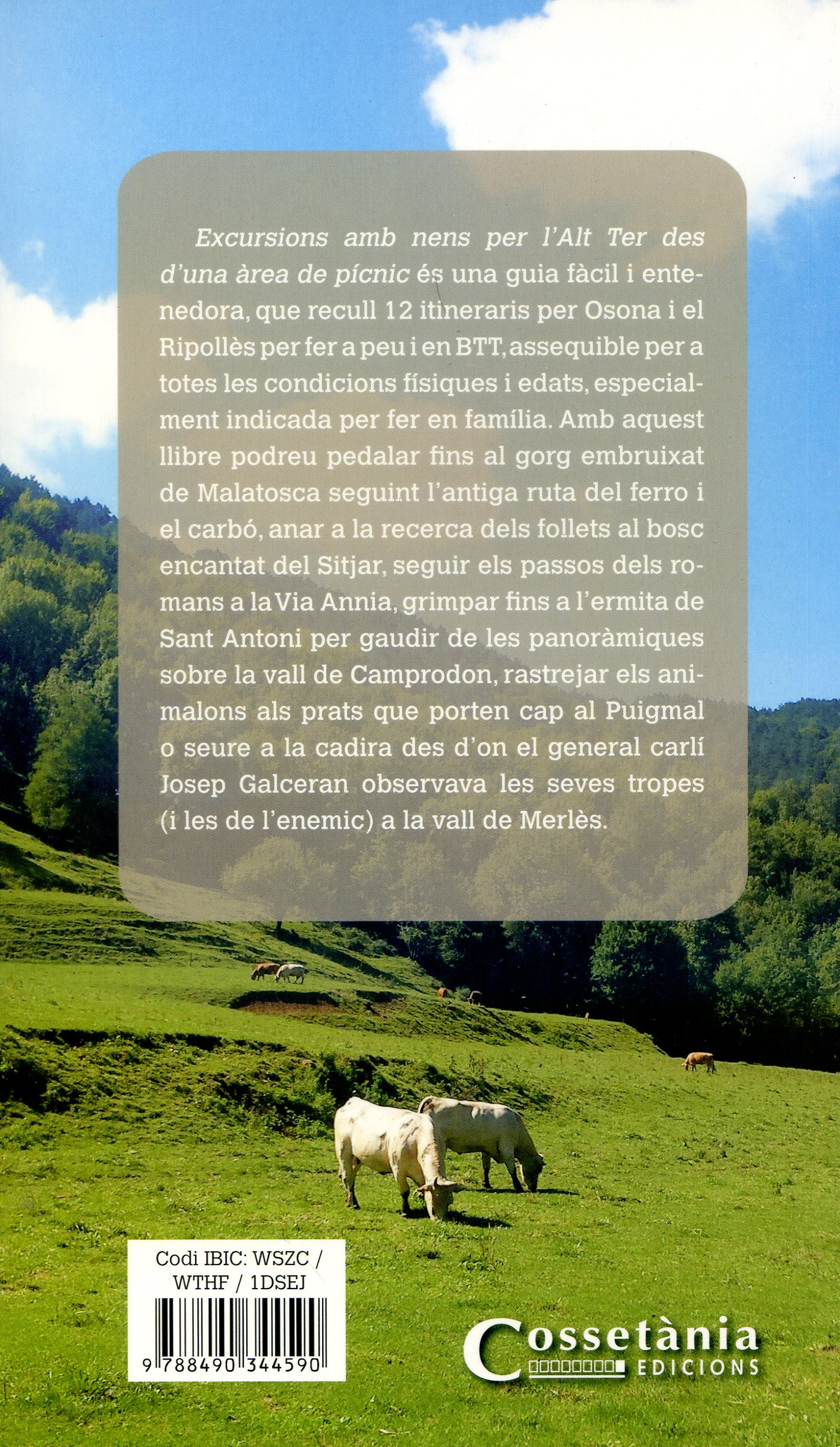 Excursions amb nens per l'Alt Ter des d'una àrea de pícnic - Miniatura 2